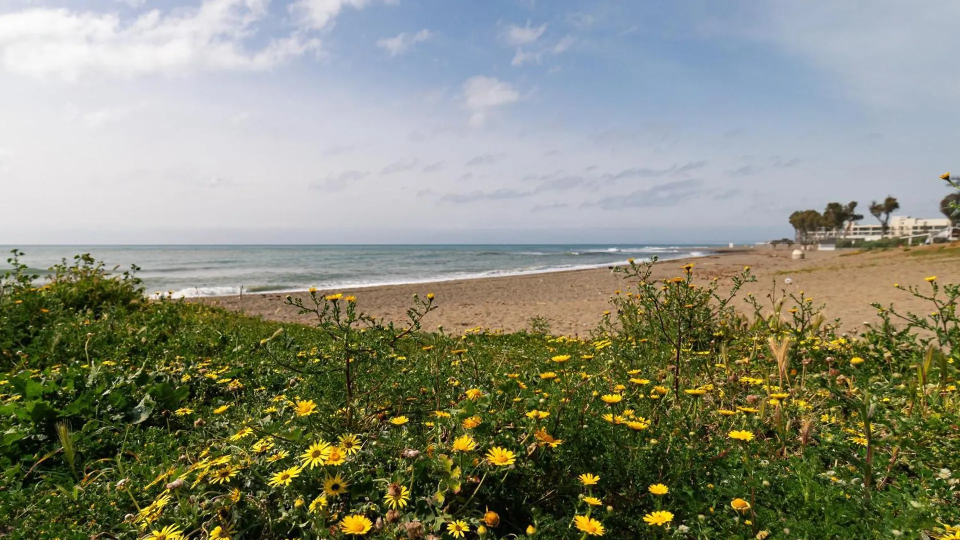 Apartment Park Beach Estepona